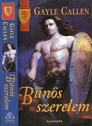 Gayle Callen - Bns szerelem