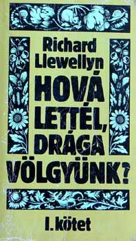 Richard Llewellyn - Hová lettél drága völgyünk?
