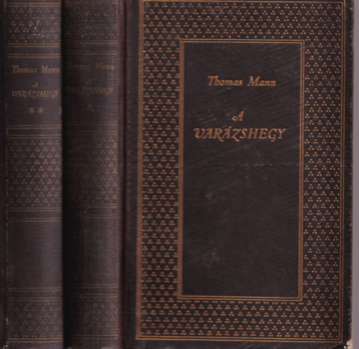 Thomas Mann - A var�zshegy I-II.