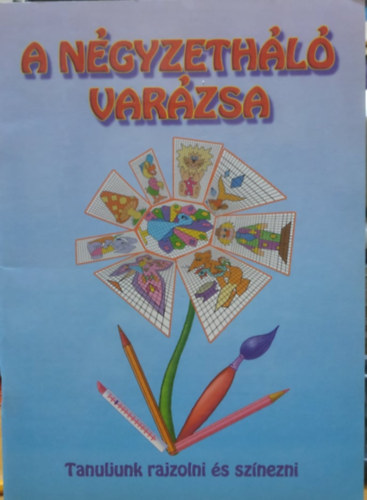 Nagy Emese; Vida Kata - A négyzetháló varázsa