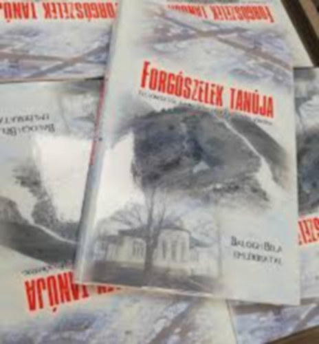 Forg�szelek tan�ja - Fels�ny�kt�l a mikroelektronik�n �t Fels�ny�kig - Balogh B�la eml�kiratai