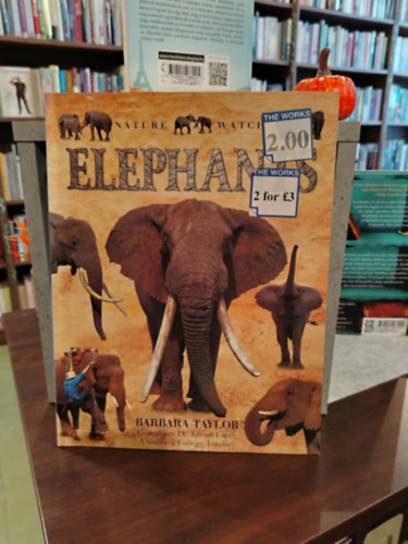 Barbara Taylor - Nature Watch: Elephants - Elefántok - angol nyelvű