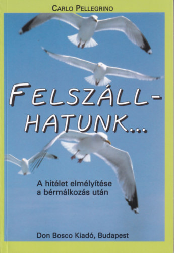 Carlo Pellegrino - Felszállhatunk... - A hitélet elmélyítése a bérmálkozás után