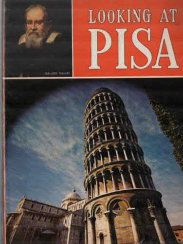 G. Barsali - Looking at Pisa
