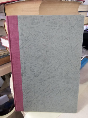 Jon Florea - A világjáró angol Bukarestben