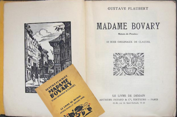 Gustave Flaubert - Madame Bovary - Moeurs de Province