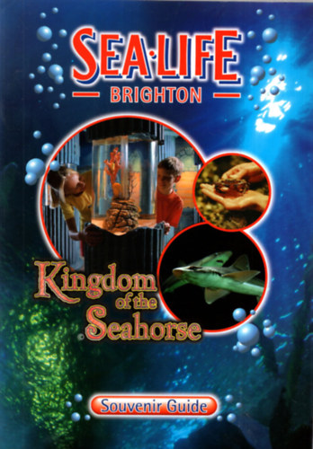 Sea life Brighton - Kingdom of the Seahorse