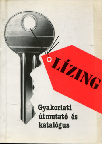 Lzing gyakorlati tmutat s katalgus