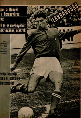 Hoffer Jzsef   (szerk) - Labdargs 1970. XVI. vfolyam 1-12. szm (teljes)