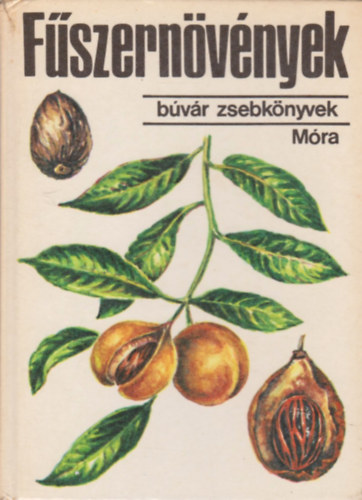 J�rayn�-Reg�czy - F�szern�v�nyek (b�v�r zsebk�nyvek)