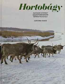 Kapocsy Gy�rgy - Hortob�gy (Kapocsy Gy�rgy 153 sz�nes felv�tele)