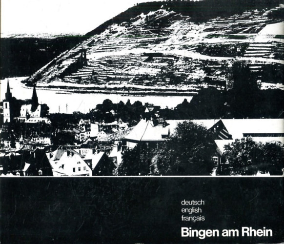 Bingen am Rhein