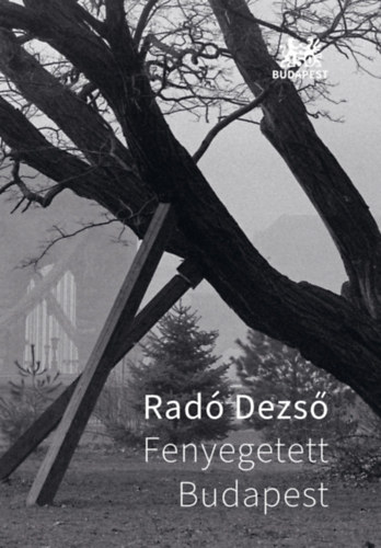 Rad� Dezs� - Fenyegetett Budapest