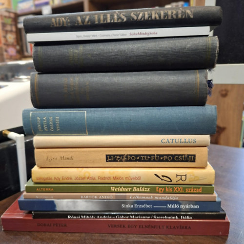 Csizmazia "Cheese" G�bor, Ady Endre, Juh�sz Gyula, T�th �rp�d, J�zsef Attila, Catullus, Li Taj-Po, Tu Fu, Po Cs�-Ji, Weidner Bal�zs, Bart�k Anik�, Sinka Erzs�bet, R� Sipos "Sheepy" M�rti - 13 db verses k�tet, K�NYVMENT� AJ�NLAT: SohaMindigSoha, Az Ill�s szeker�n, Juh�sz Gyula �sszes versei, T�th �rp�d �sszes versei, versford�t�sai �s novell�i, J�zsef Attila �sszes versei, Catullus versei, Li Taj-Po Tu Fu Po Cs�-Ji ve