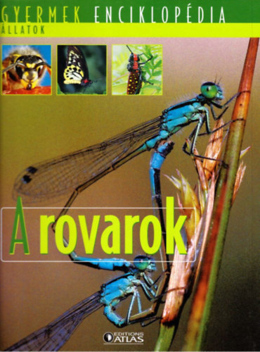 A rovarok