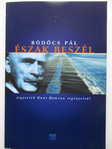 Bdcs Pl - szak beszl - Jegyzetek Knut Hamsun regnyeirl