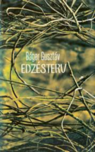 Bger Gusztv - Edzsterv