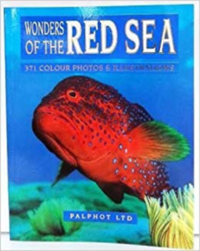David Fridman - Wonders of the Red Sea