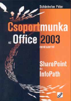 Schnhofen Pter - Csoportmunka az office 2003 rendszerrel
