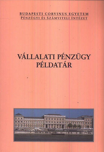 Fazakas Gergely - Vllalati pnzgy pldatr