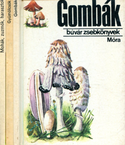 3 db Búvár zsebkönyv (Gyümölcsök - Mohák, zuzmók, harasztok - Gombák)