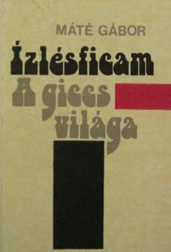 Mt Gbor - zlsficam - A GICCS VILGA