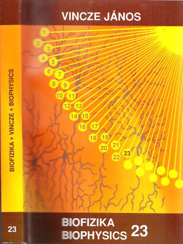 Vincze J�nos - Biofizika 23 Biophysics - A  l�t�s biofizik�ja