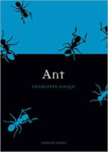 Charlotte Sleigh - Ant