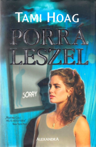 Tami Hoag - Porr leszel