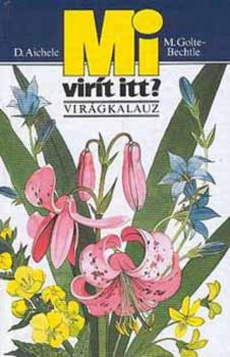 D. Aichele; M. Golte Bechtle - Mi virt itt? (virgkalauz)