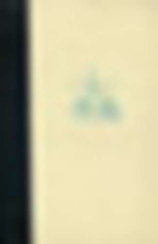 Rosemarie Schuder - A boszork�ny fia