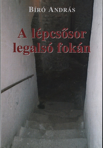 Biró András - A lépcsősor legalsó fokán
