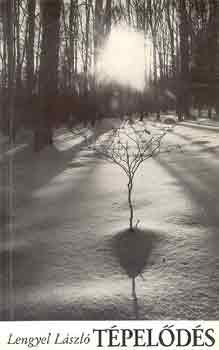 Lengyel László - Tépelődés