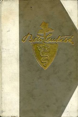 Sebess D�nes - Bethlen Istv�n Gr�f - T�rt�nelmi korrajz, Egy kortt�rs feljegyz�sei