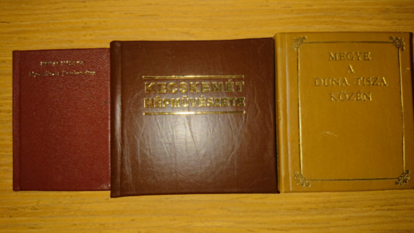 Heltai N�ndor - 3 minik�nyv Kecskem�tr�l: Megye a Duna-Tisza k�z�n, Nyomd�szat Kecskem�ten, Kecskem�t n�pm�v�szete