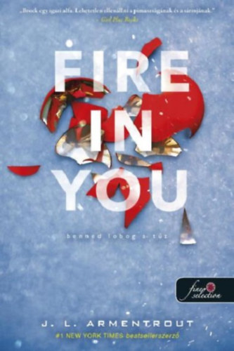 Jennifer L. Armentrout - Fire In You - Benned lobog a tz
