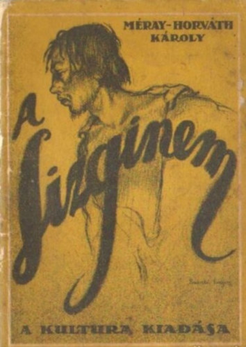 Méray-Horváth Károly - A lizginem