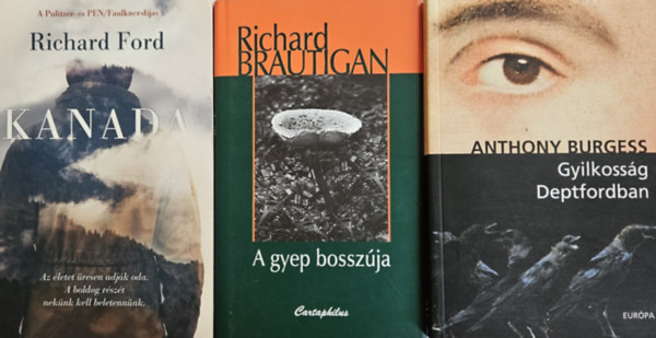 Richard Ford, Richard Brautigan Anthony Burgess - Amerikai �r�k: Gyilkoss�g Deptfordban + Kanada + A gyep bossz�ja  (3 m�)