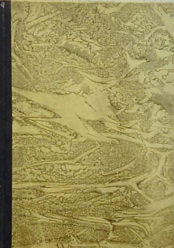 Rerm�nyi B�la - Szembes�t�s