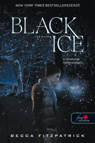 Becca Fitzpatrick - Black Ice - Tükörjég