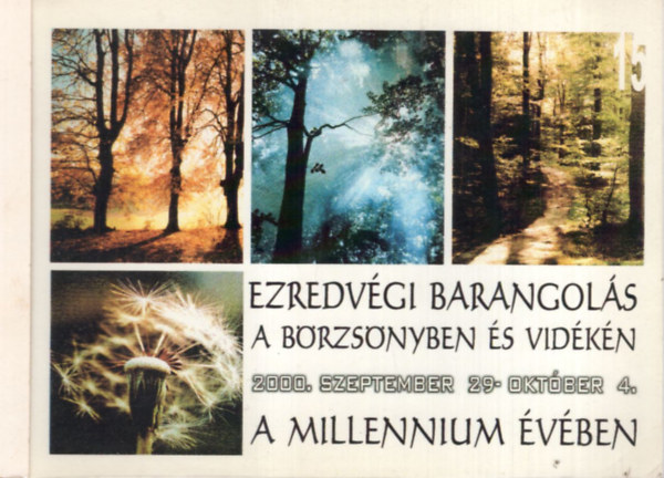 Simon Mria  (szerk) - Ezredvgi barangols a Brzsnyben s vidkn 2000. szeptember 29-oktber 4.- A millennium vben