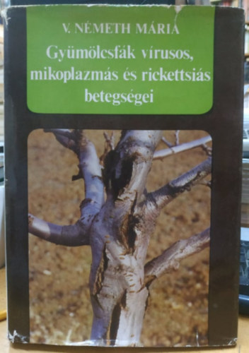 V. Nmeth Mria - Gymlcsfk vrusos, mikoplazms s rickettsis betegsgei