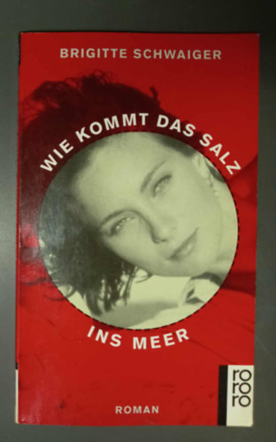 Brigitte Schwaiger - Wie kommt das Salz ins Meer?