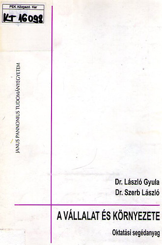 Dr. Lszl Gyula; Dr. Szerb Lszl - A vllalat s krnyezete