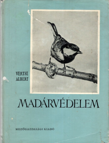 VErtse Albert - Madrvdelem