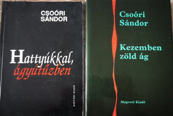 Cso�ri S�ndor - Hatty�kkal, �gy�t�zben + Kezemben z�ld �g 2db