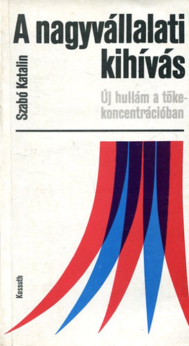 Szabó Katalin - A nagyvállalati kihívás