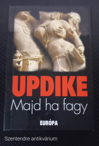 John Updike - Majd ha fagy (FORD�T� Gy. Horv�th L�szl�) - (Saj�t k�ppel, Szent. antikv.)