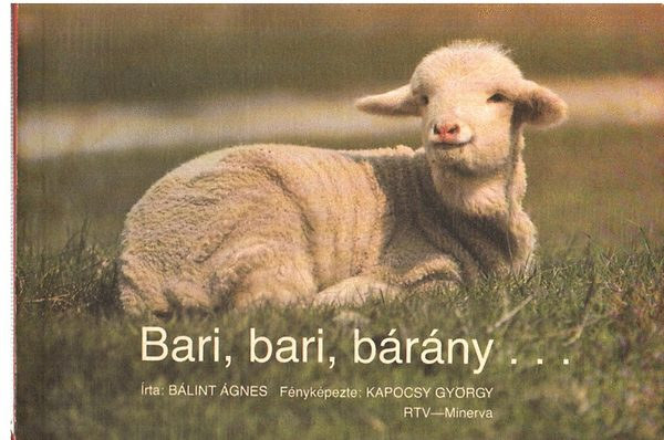 Blint gnes - Bari, bari, brny...