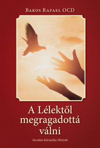 Bakos Rafael Ocd - A Llektl megragadott vlni